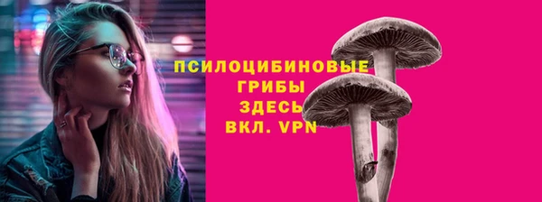 кристаллы Снежногорск