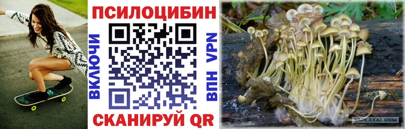 как найти закладки  Урень  Псилоцибиновые грибы GOLDEN TEACHER 